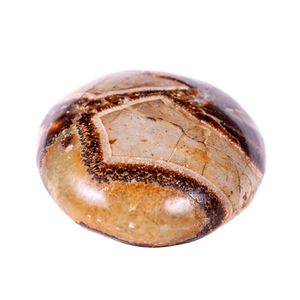 Septarien