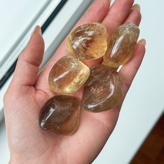 Citrin (naturbelassen) Trommelstein