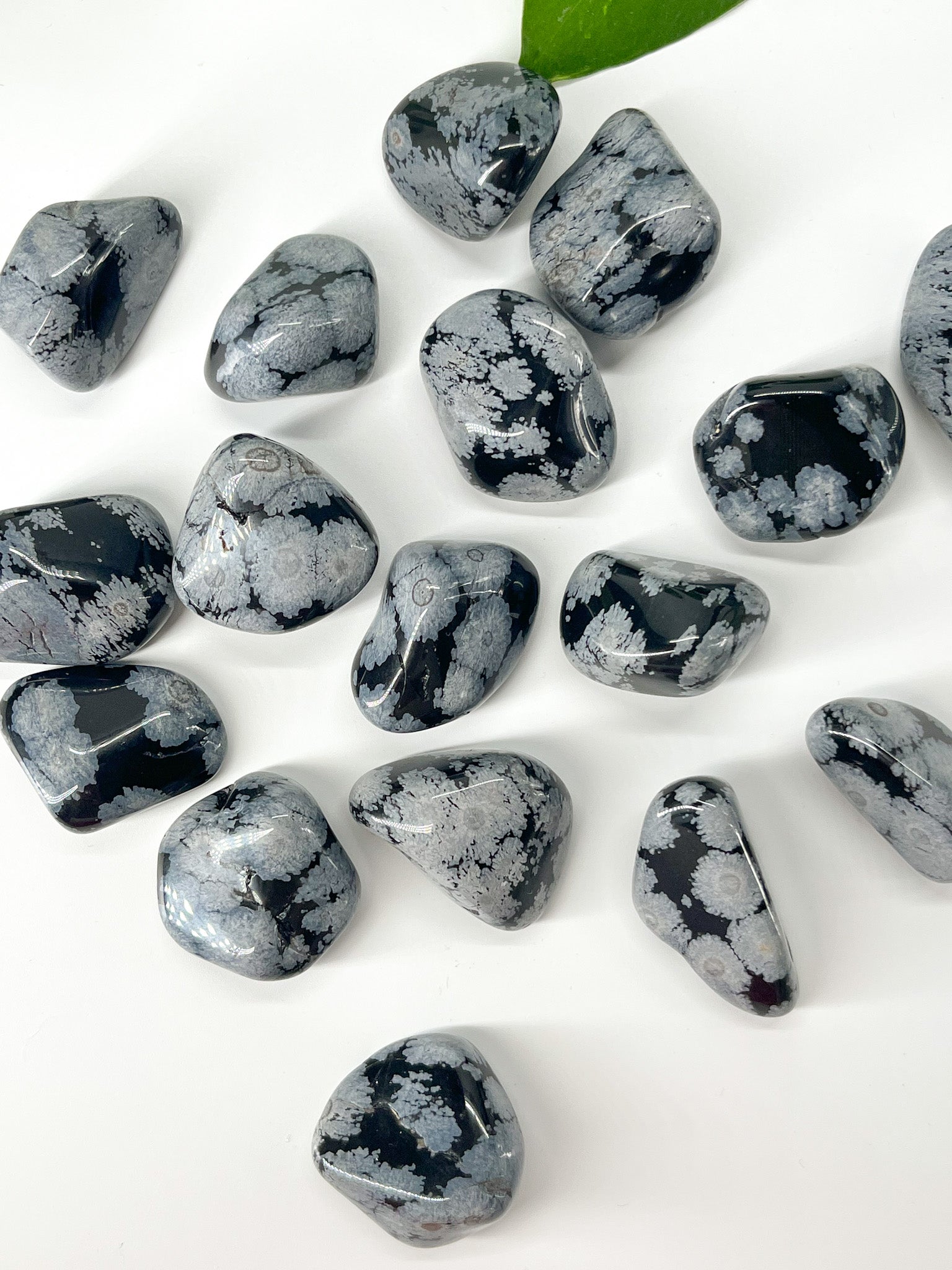 Schneeflocken-Obsidian - Trommelstein