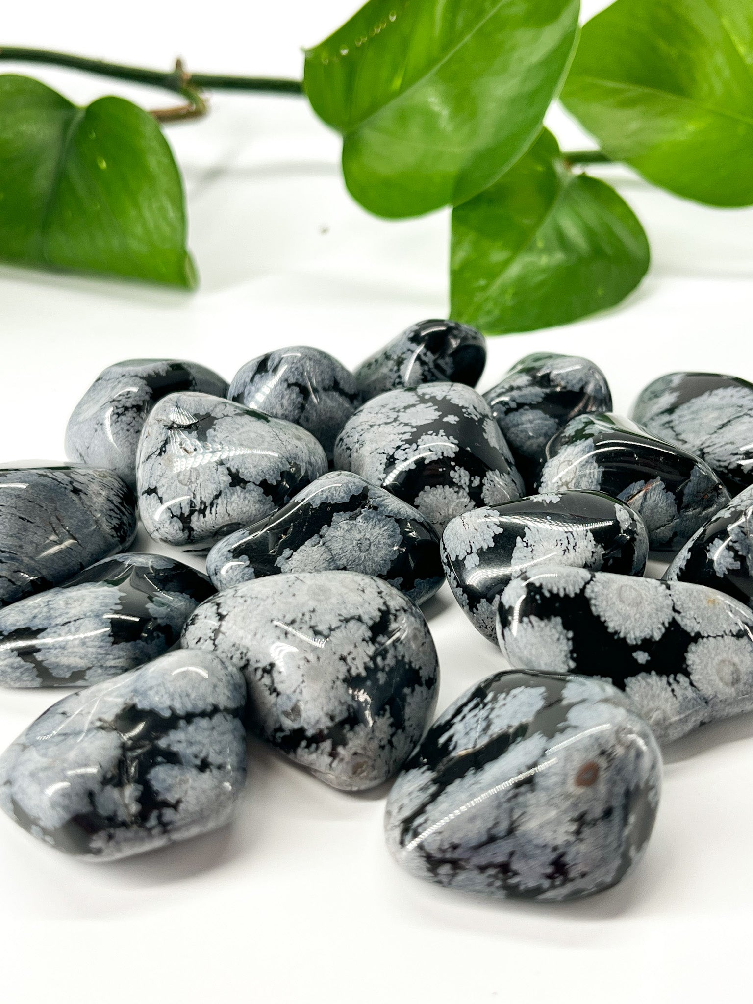 Schneeflocken-Obsidian - Trommelstein