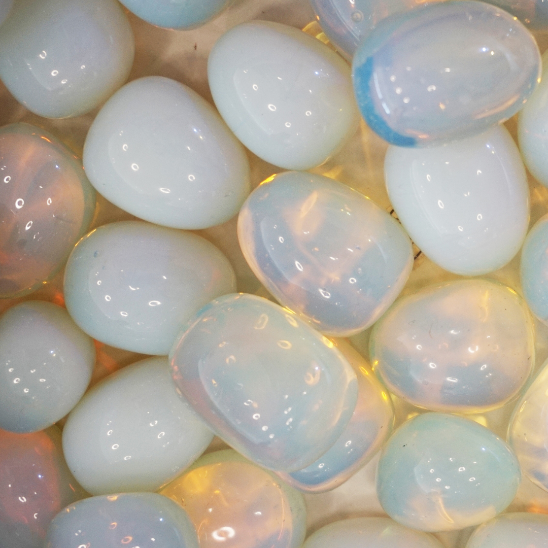Opal Stein