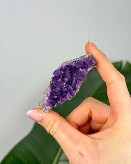 Amethyst Stufen/Cluster - Mini (bis 20€)