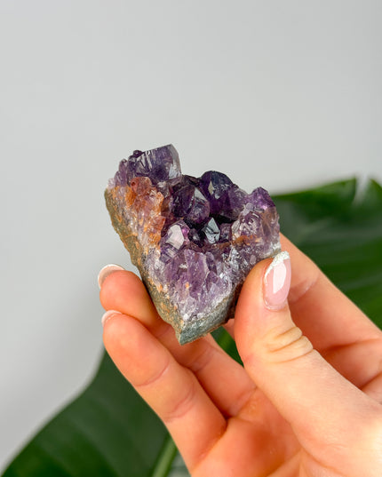 Amethyst Stufen/Cluster - Midi (20-50€)