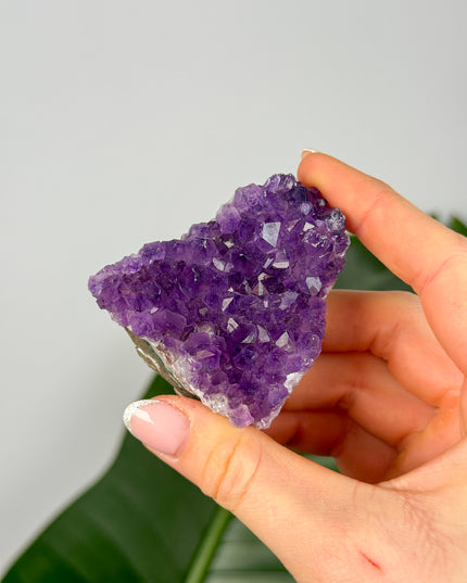 Amethyst Stufen/Cluster - Midi (20-50€)