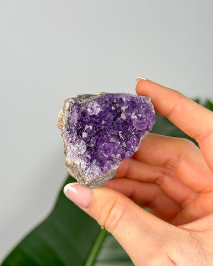 Amethyst Stufen/Cluster - Midi (20-50€)