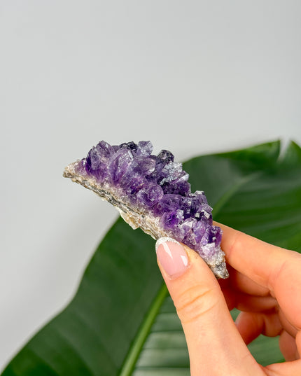 Amethyst Stufen/Cluster - Mini (bis 20€)