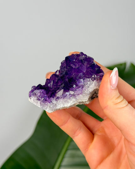 Amethyst Stufen/Cluster - Midi (20-50€)