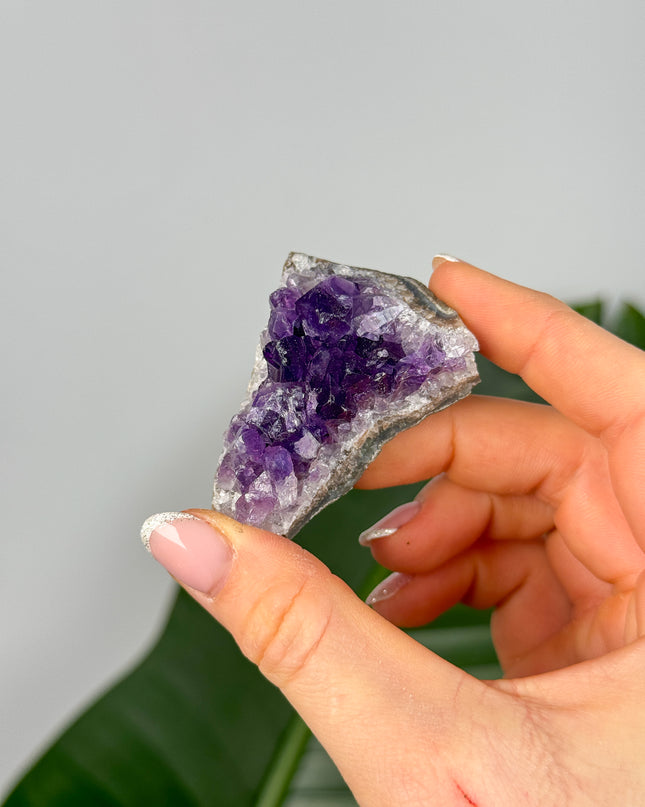 Amethyst Stufen/Cluster - Mini (bis 20€)