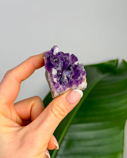 Amethyst Stufen/Cluster - Mini (bis 20€)