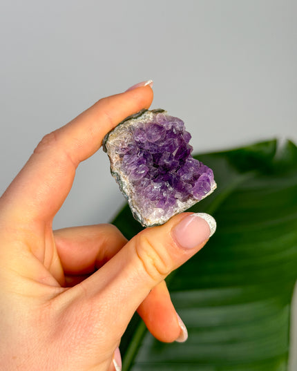 Amethyst Stufen/Cluster - Mini (bis 20€)