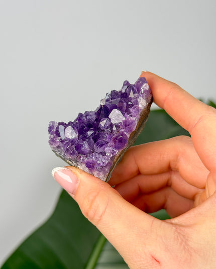 Amethyst Stufen/Cluster - Mini (bis 20€)