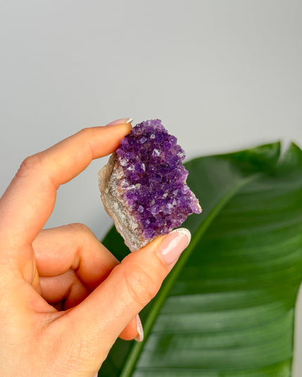 Amethyst Stufen/Cluster - Mini (bis 20€)