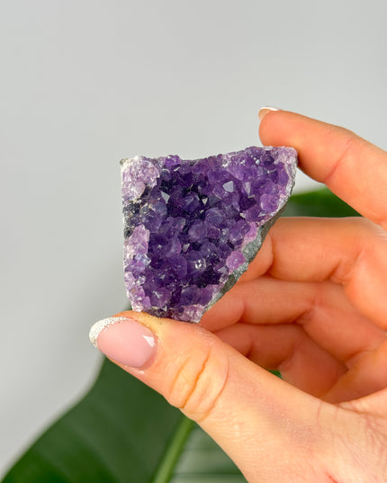 Amethyst Stufen/Cluster - Mini (bis 20€)