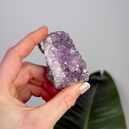Amethyst Stufen/Cluster - Mini
