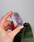 5.8 cm