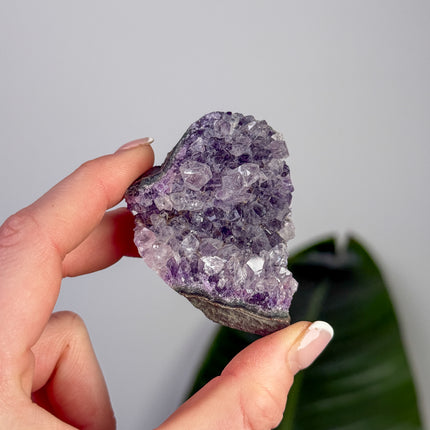 Amethyst Stufen/Cluster - Mini