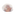 Stein