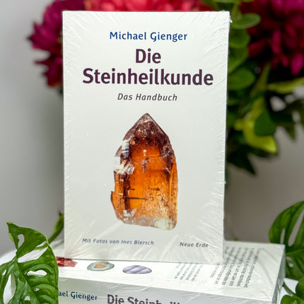 Die Steinheilkunde - Das Handbuch -
