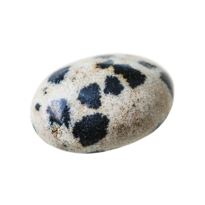 Dalmatiner Jaspis