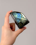 8.3cm