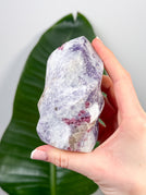 9.9 cm
