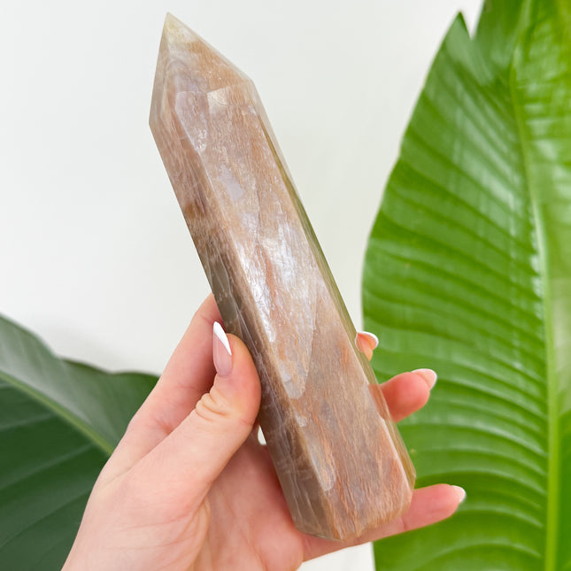 Mondstein Kristallspitze - AA+ Qualität