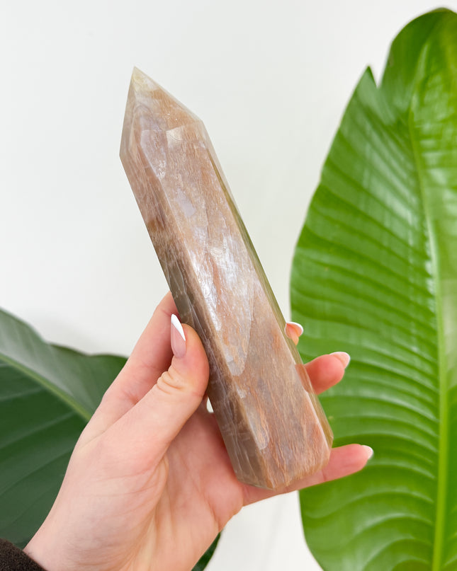 Mondstein Kristallspitze - AA+ Qualität