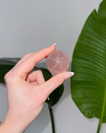 Rosenquarz Kugeln mit Stern