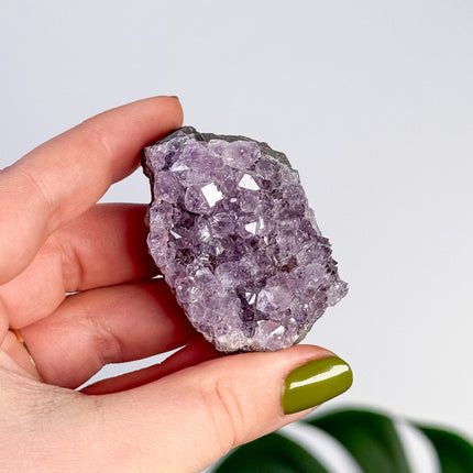 Amethyst Stufen/Cluster - Mini