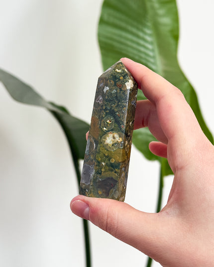 Regenwald Jaspis (Rhyolith) Spitzen