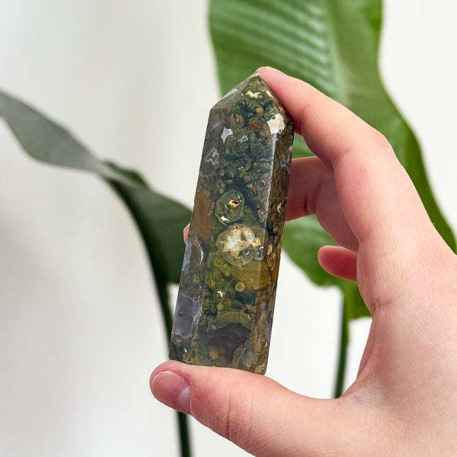 Regenwald Jaspis (Rhyolith) Spitzen