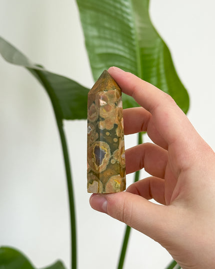 Regenwald Jaspis (Rhyolith) Spitzen