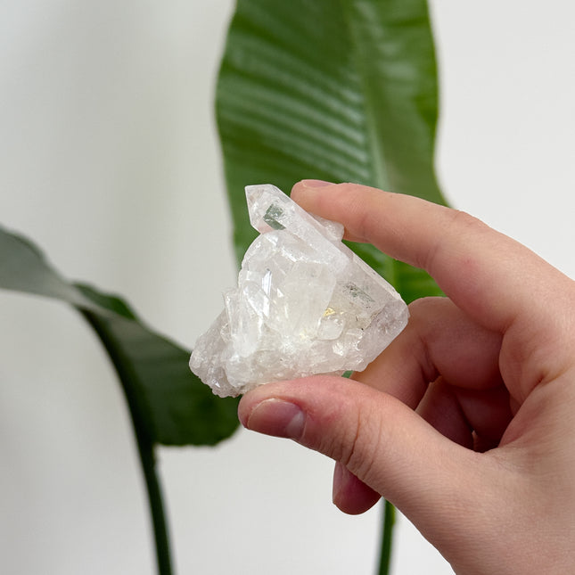 Bergkristall Stufen/Cluster - bis 20€