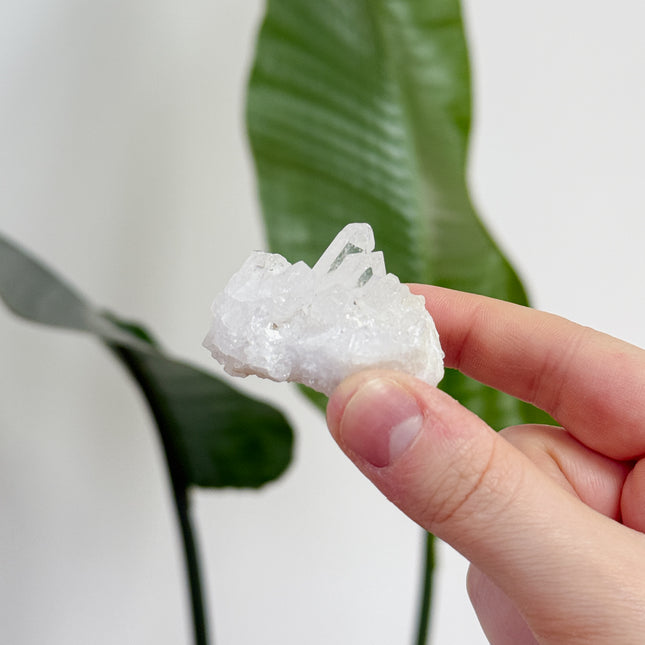 Bergkristall Stufen/Cluster - bis 20€