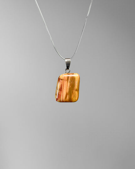 Versteinertes Holz Kettenanhänger