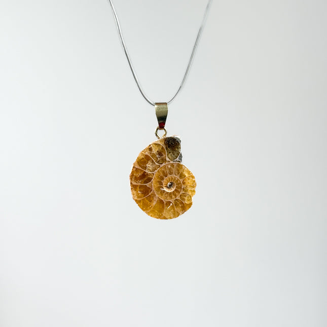 Ammonit Kettenanhänger