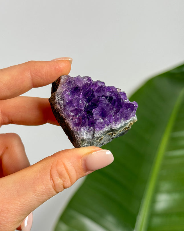 MINI Amethyst Cluster (Unikat Auswahl)