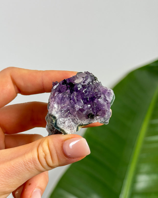 MINI Amethyst Cluster (Unikat Auswahl)