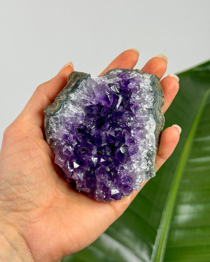 Amethyst Cluster (Unikat Auswahl)