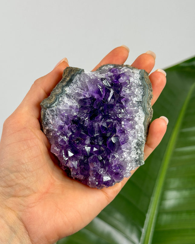 Amethyst Cluster (Unikat Auswahl)