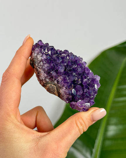 Amethyst Cluster (Unikat Auswahl)