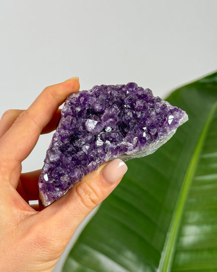 Amethyst Cluster (Unikat Auswahl)