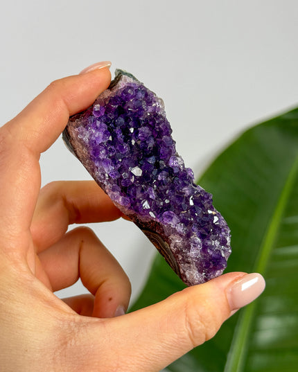 Amethyst Cluster (Unikat Auswahl)