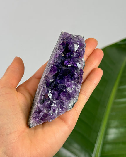 Amethyst Cluster (Unikat Auswahl)