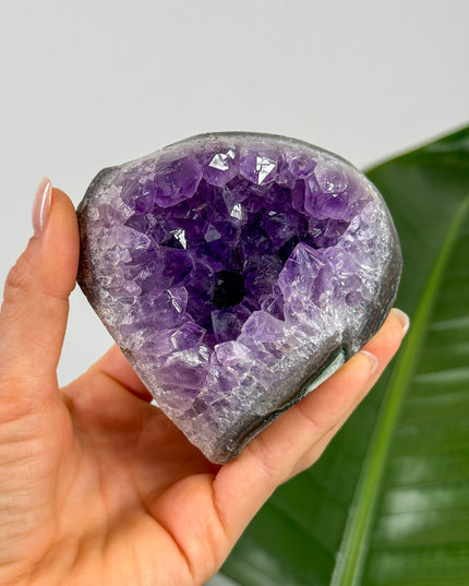 Amethyst Cluster (Unikat Auswahl)