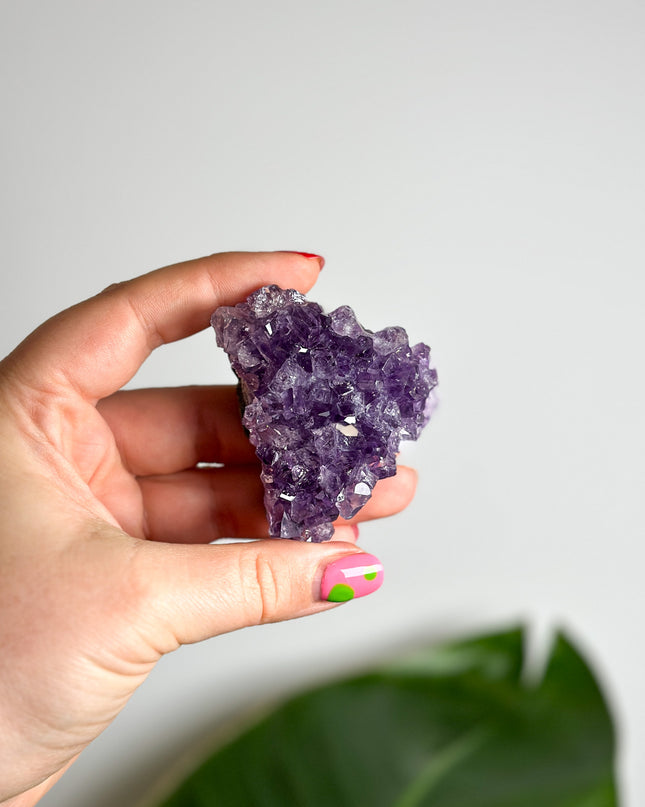 Amethyst Cluster (Unikat Auswahl)