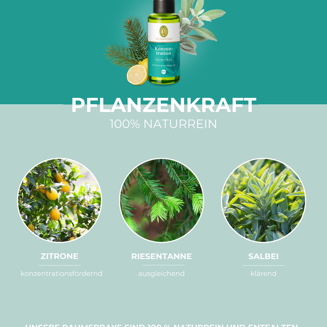 Konzentration Raumspray BIO - Primavera