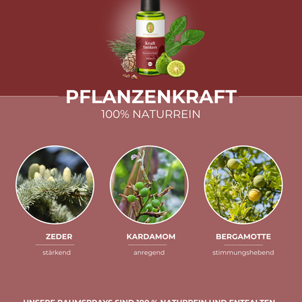 Kraft tanken Raumspray BIO - Primavera