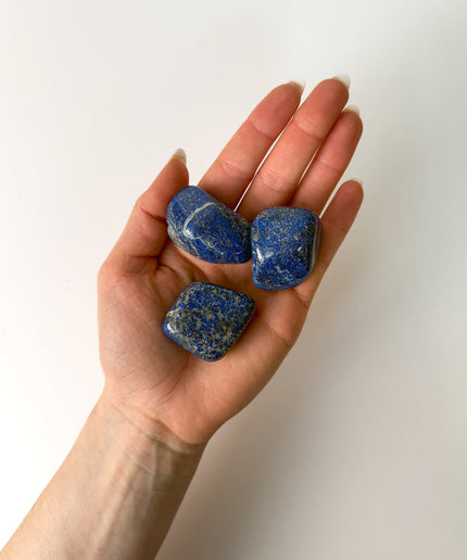 Lapislazuli Trommelstein