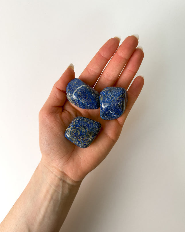 Lapislazuli Trommelstein